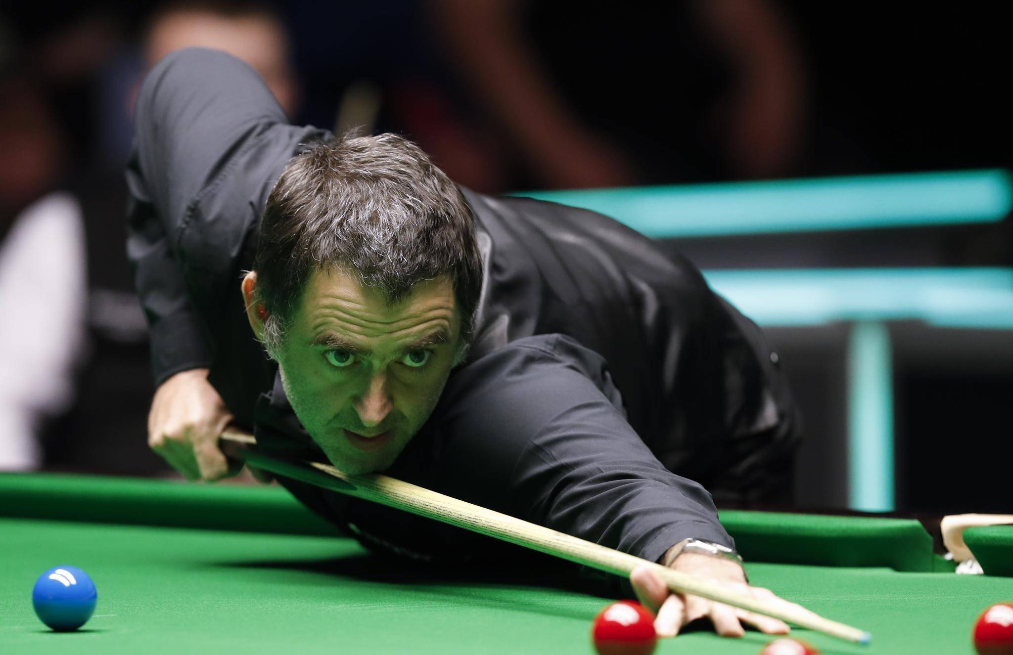 明星球员的 明星球员的