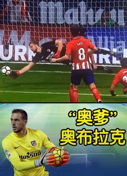 的加盟能够 的加盟能够